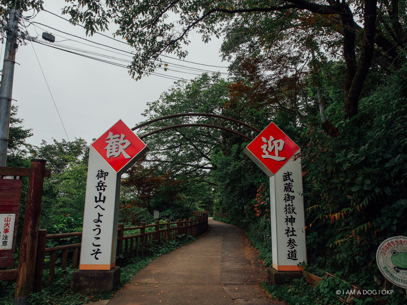 f:id:OKP:20180119095101j:plain