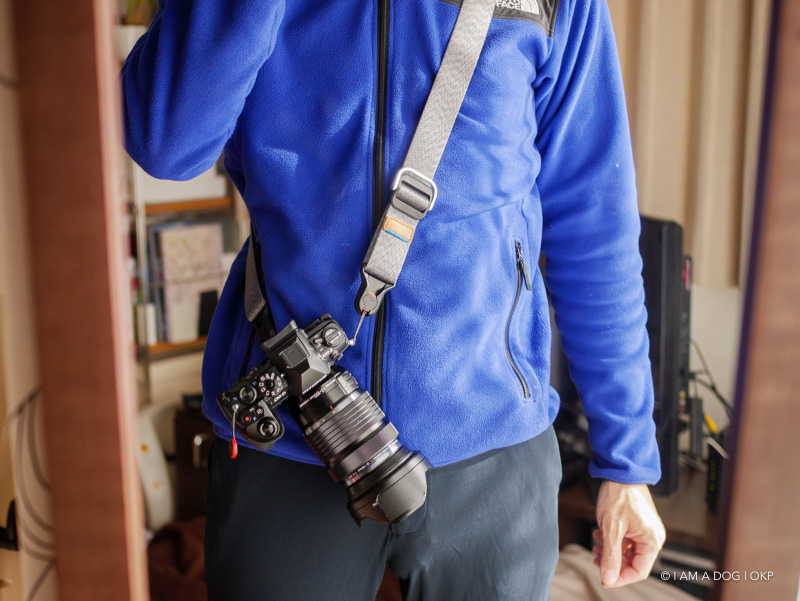 f:id:OKP:20180125114047j:plain