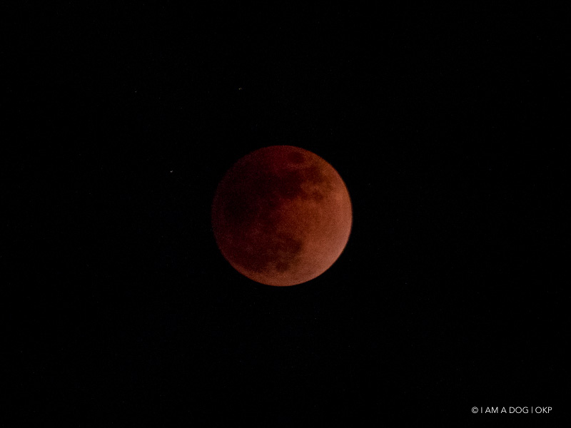 f:id:OKP:20180204003245j:plain