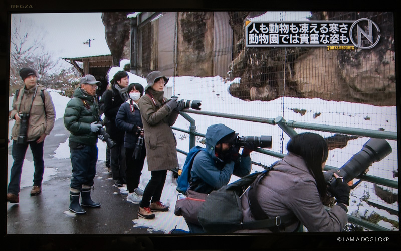 f:id:OKP:20180204103125j:plain