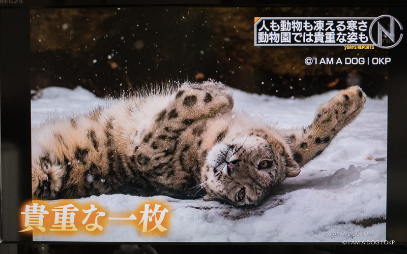 f:id:OKP:20180204103145j:plain