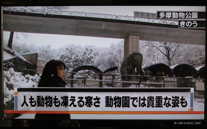 f:id:OKP:20180204103148j:plain