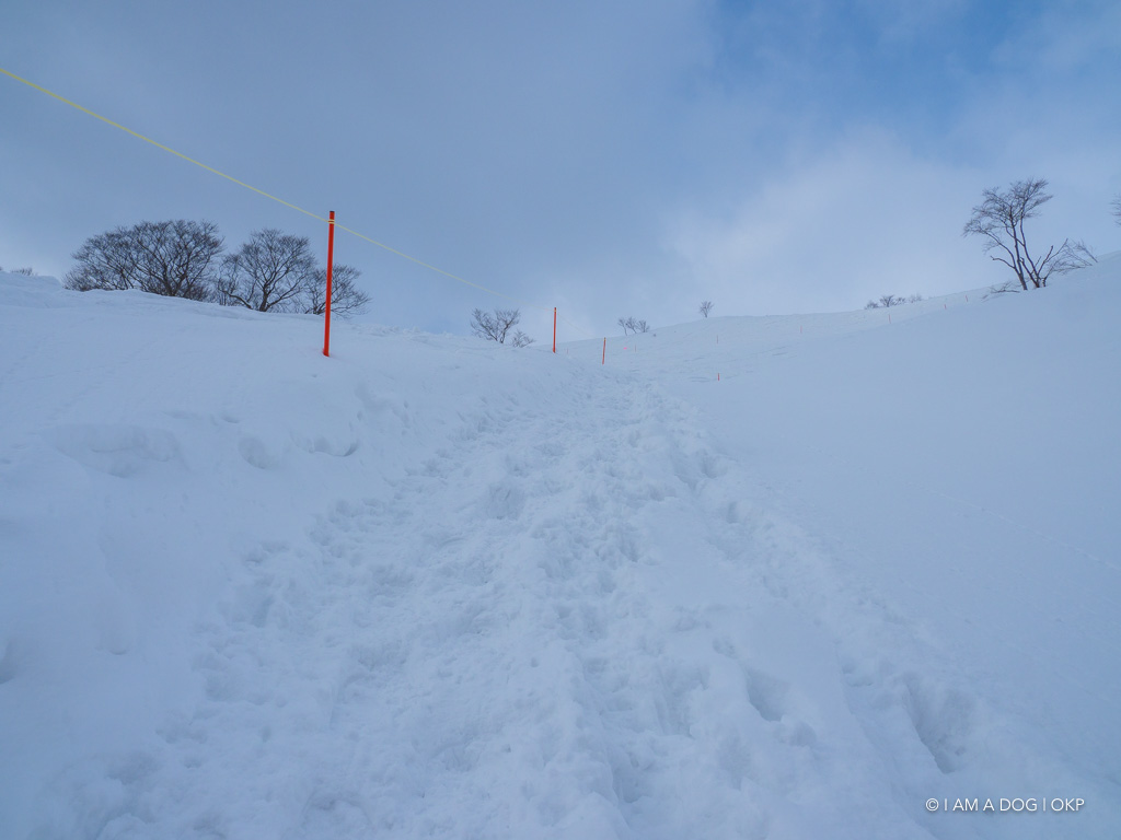 f:id:OKP:20180228143753j:plain