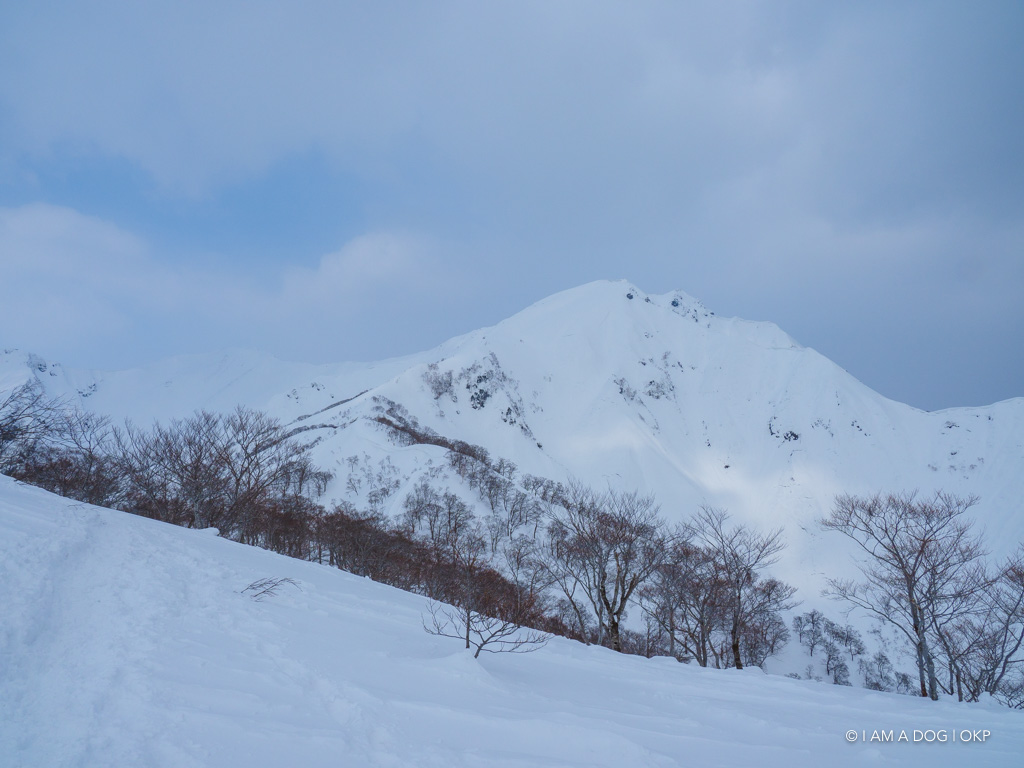 f:id:OKP:20180228143754j:plain