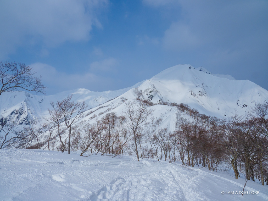 f:id:OKP:20180228143755j:plain