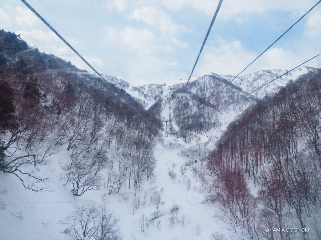 f:id:OKP:20180228174322j:plain