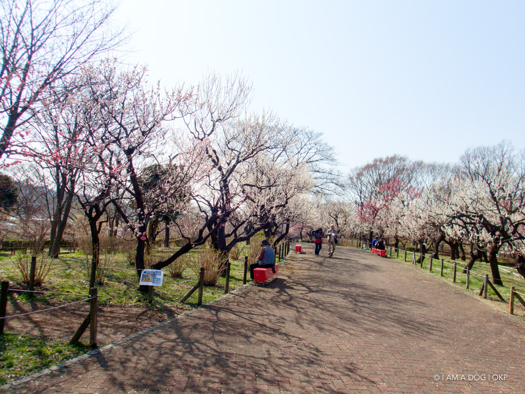 f:id:OKP:20180314095752j:plain