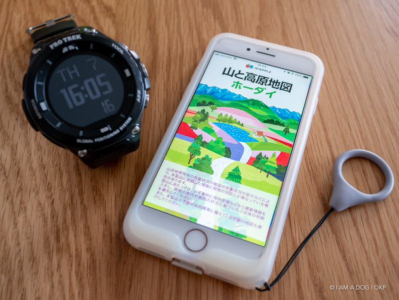 f:id:OKP:20180607165030j:plain