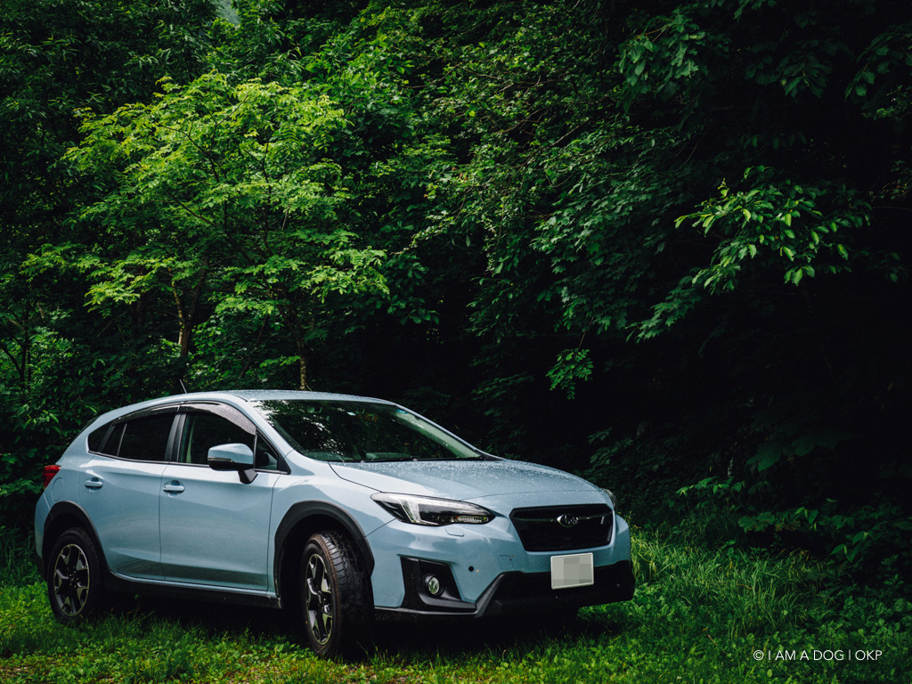 生活・カメラ・アウトドア:2018年、今年買ってよかったもの - I AM A DOGのアイキャッチ画像