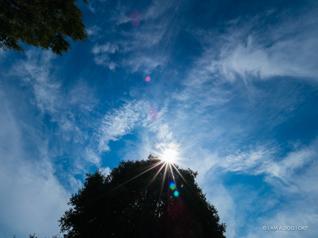 f:id:OKP:20180830222559j:plain