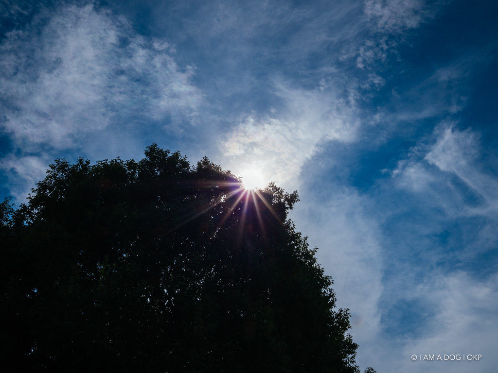 f:id:OKP:20180831105246j:plain