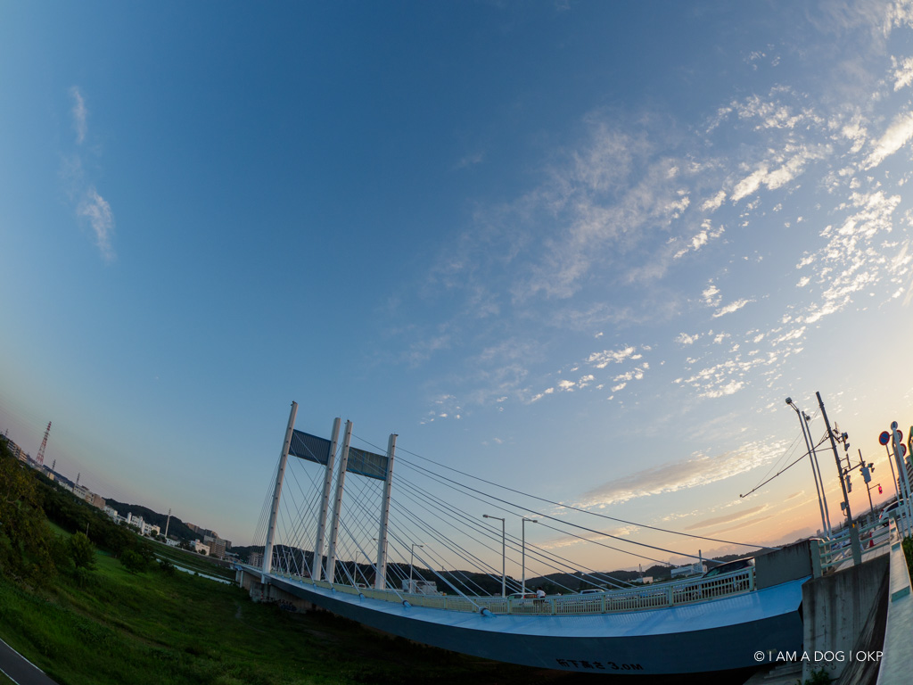 f:id:OKP:20180910164322j:plain