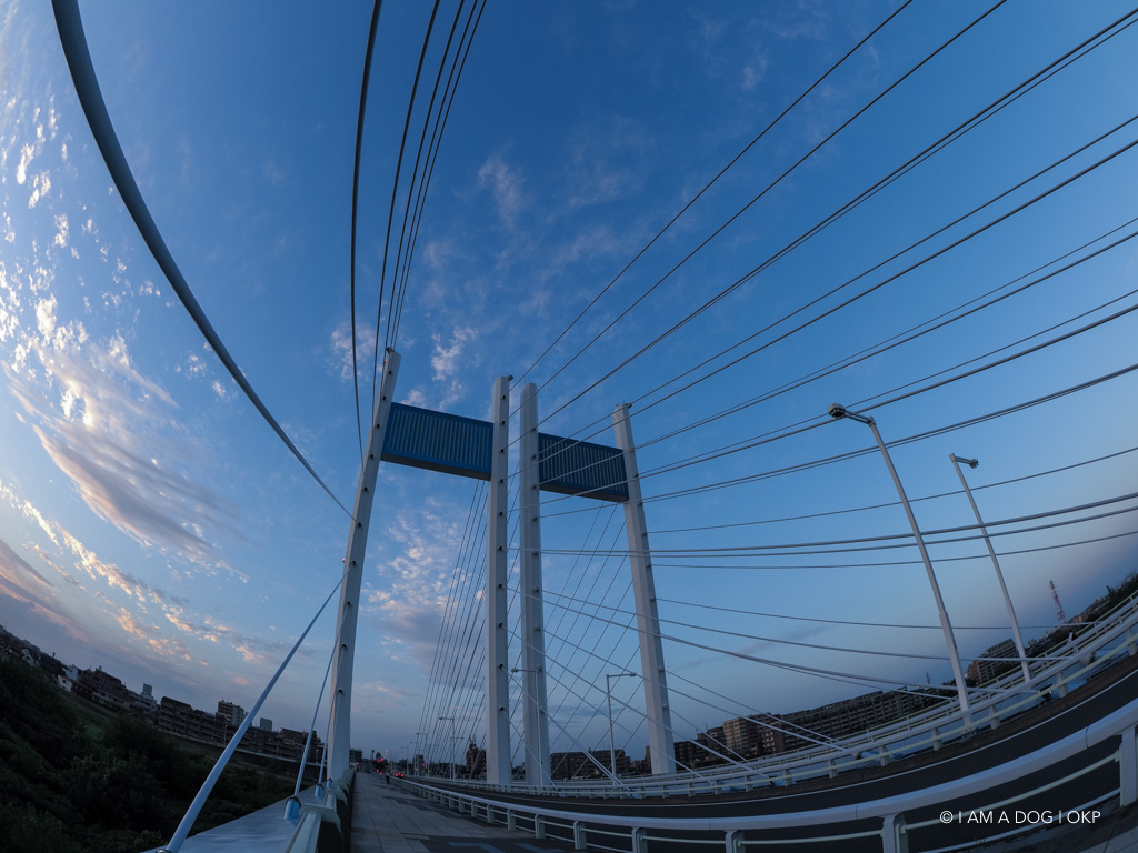 f:id:OKP:20180910170607j:plain