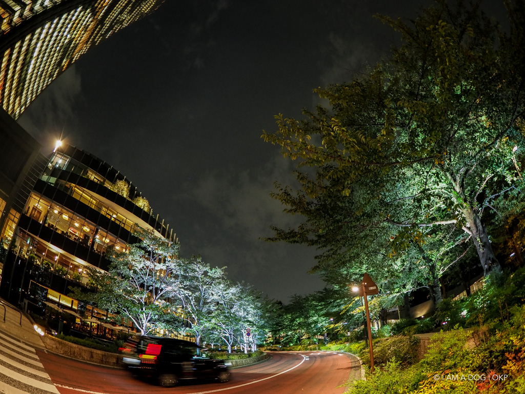 f:id:OKP:20180910170609j:plain