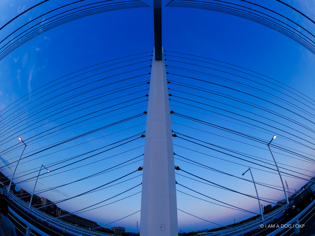 f:id:OKP:20180910234704j:plain