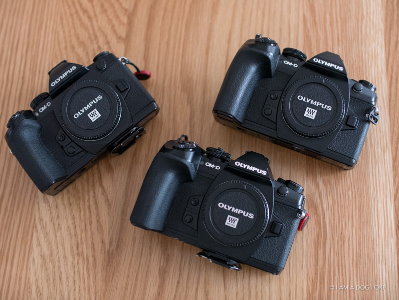 f:id:OKP:20180914104540j:plain