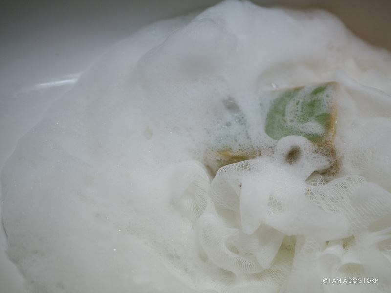 f:id:OKP:20180921114103j:plain