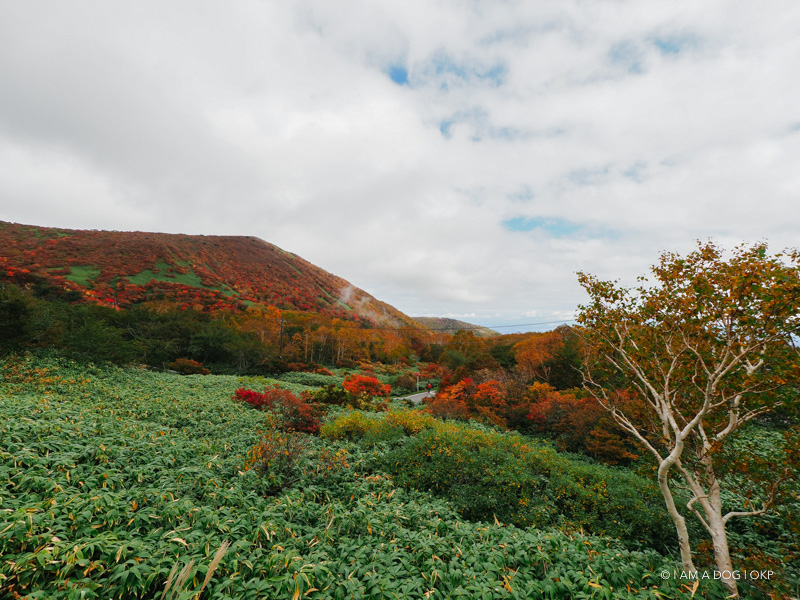 f:id:OKP:20181015181941j:plain f:id:OKP:20181015181941j:plain