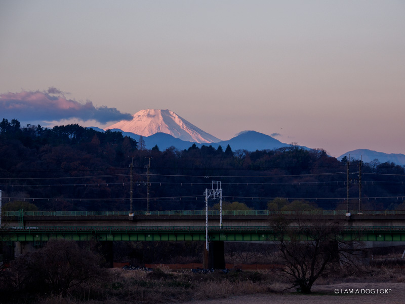f:id:OKP:20190102004027j:plain