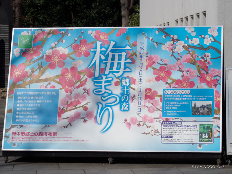 f:id:OKP:20190304122755j:plain