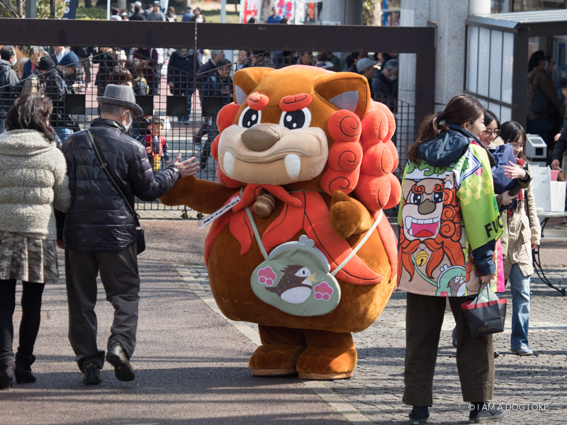 f:id:OKP:20190304122803j:plain