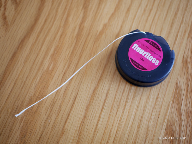 f:id:OKP:20190312235420j:plain