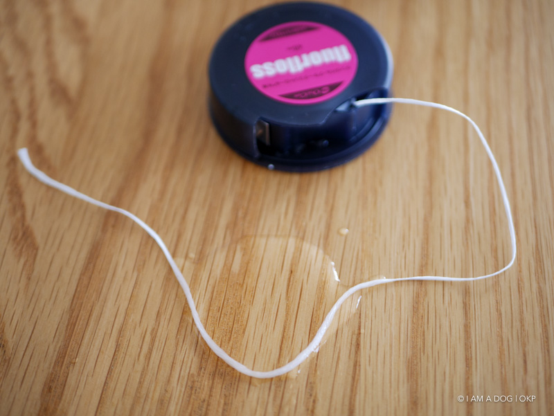 f:id:OKP:20190312235422j:plain