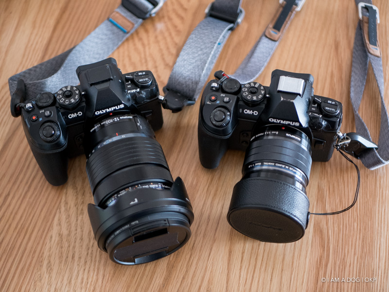 ❤️OLYMPUS 人気のパンケーキレンズ❤️ M.ZUIKO 単焦点 匿名配送 81pykmnXOVL._AC_SY200_QL15_.jpg