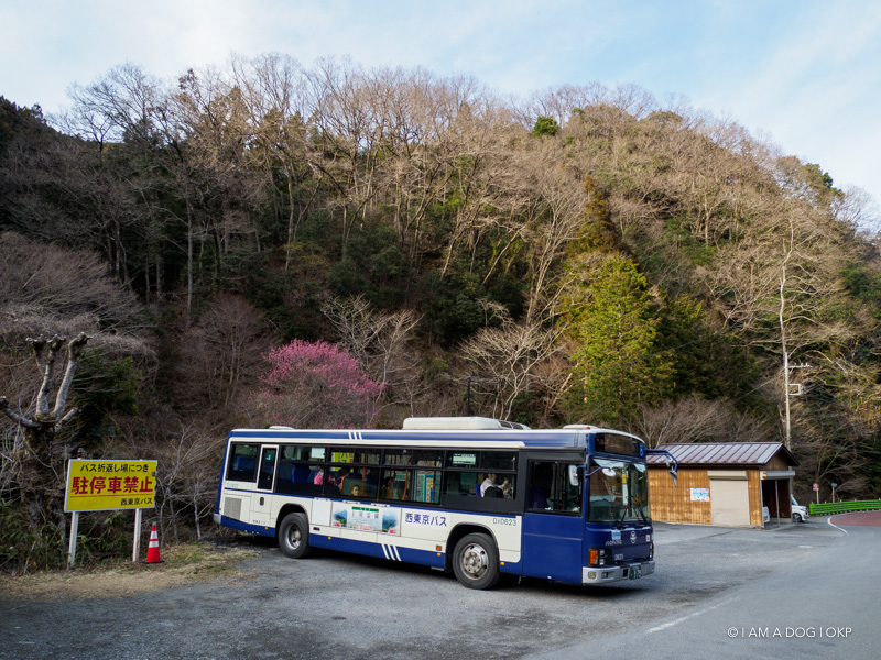 f:id:OKP:20190321161504j:plain