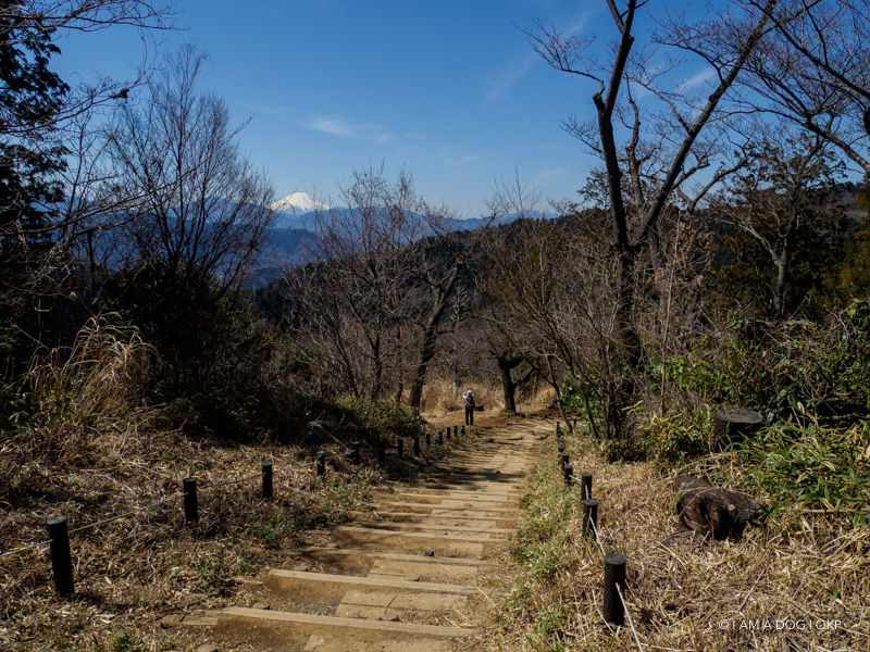 f:id:OKP:20190321195241j:plain