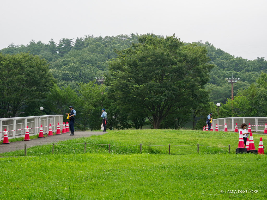f:id:OKP:20190722000300j:plain