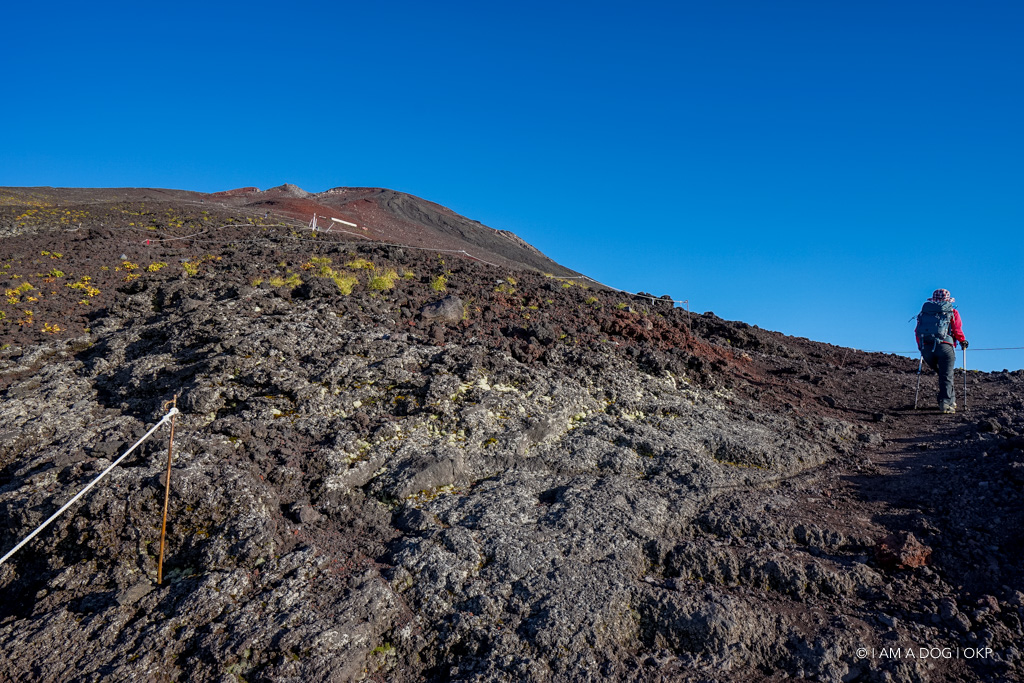 f:id:OKP:20190831134120j:plain