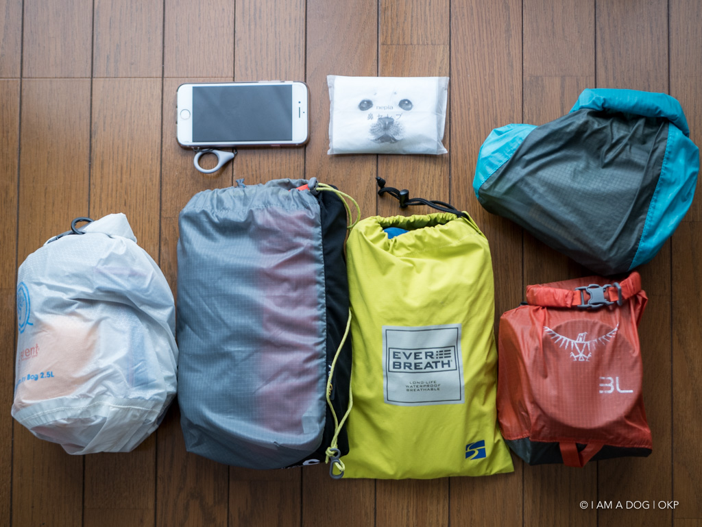 f:id:OKP:20190911165119j:plain