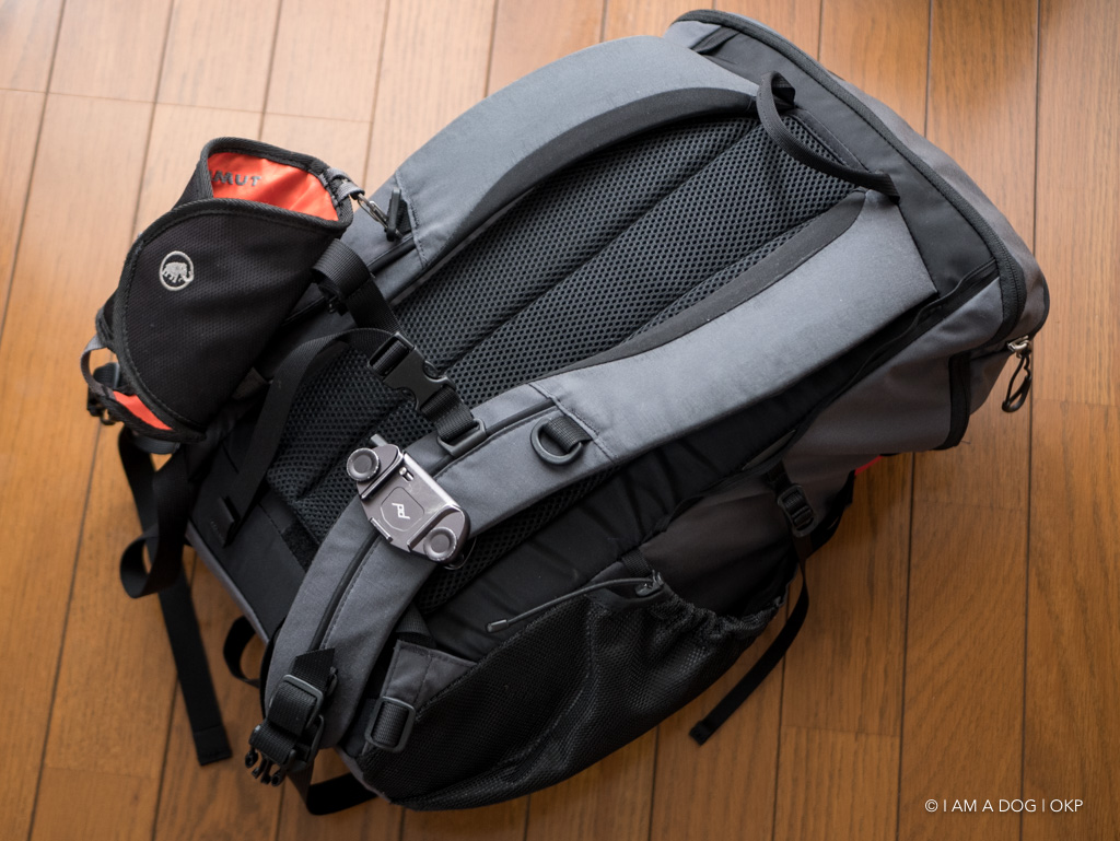 パーゴワークス BUDDY 22は日帰り登山からタウンユースまで活躍する 店舗限定特典あり パーゴワークス BUDDY 22SP バックパック 限定カラー 登山用品