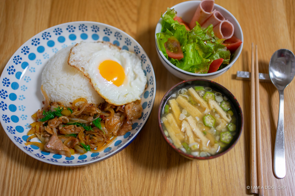f:id:OKP:20190912230812j:plain