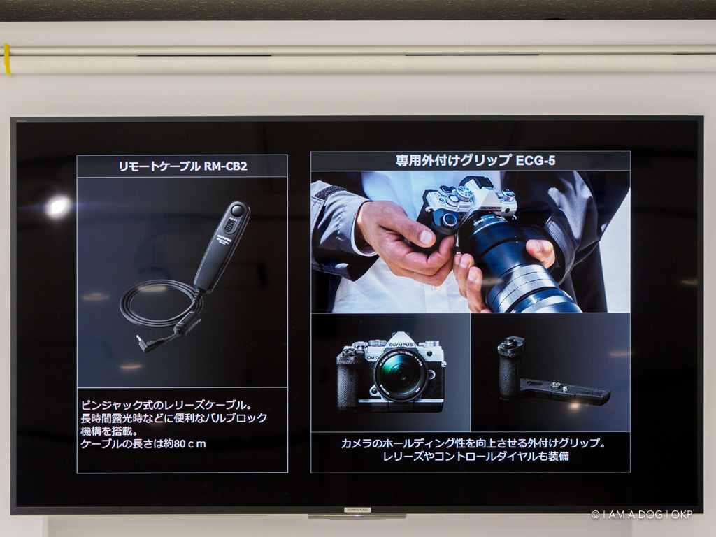 f:id:OKP:20191022174928j:plain