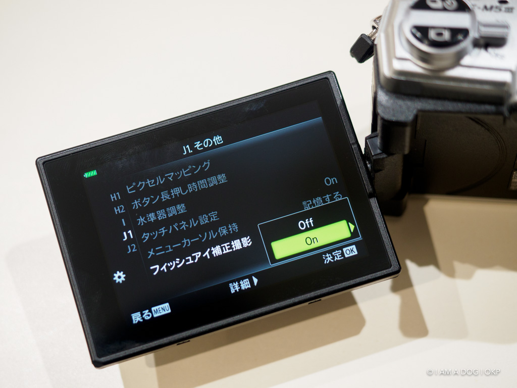 f:id:OKP:20191022175018j:plain