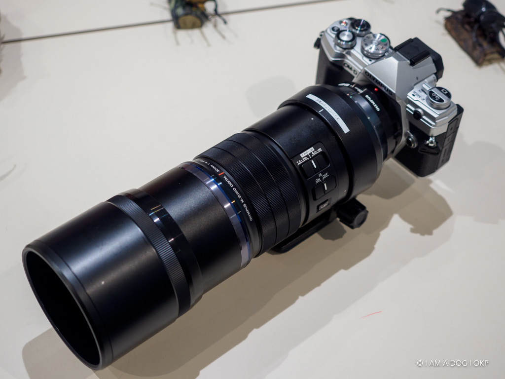 f:id:OKP:20191022175023j:plain