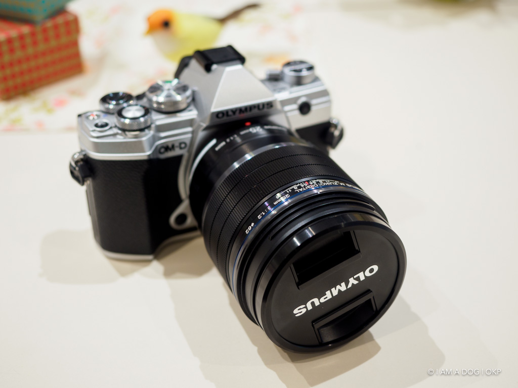 f:id:OKP:20191022175029j:plain