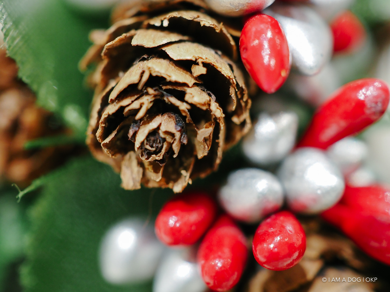 f:id:OKP:20191022175154j:plain