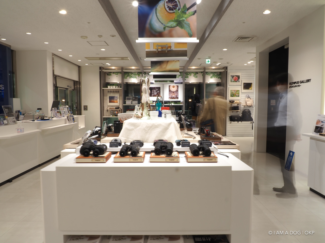 f:id:OKP:20191022175200j:plain