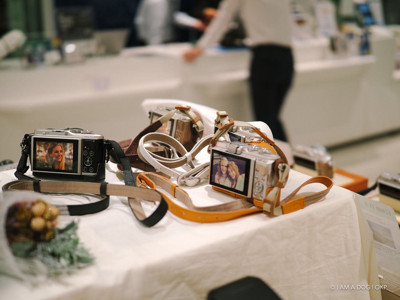 f:id:OKP:20191022175229j:plain