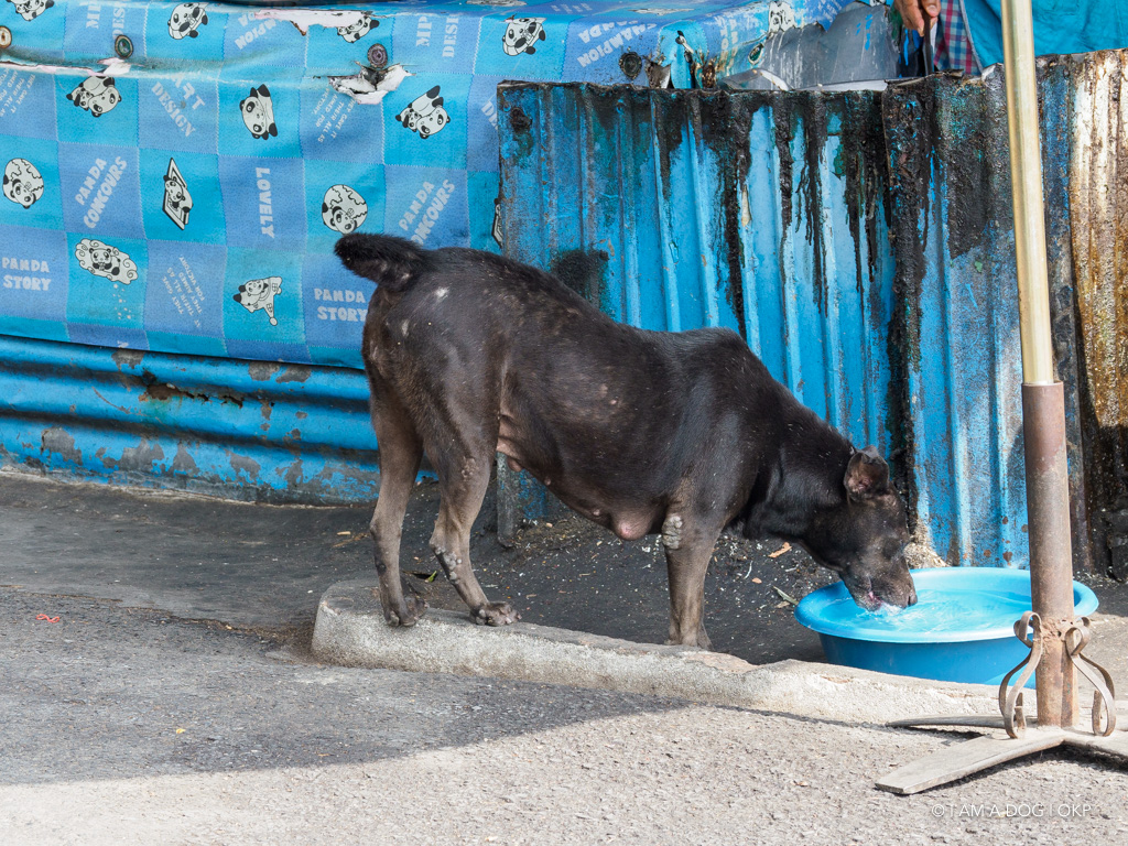 f:id:OKP:20191106112146j:plain