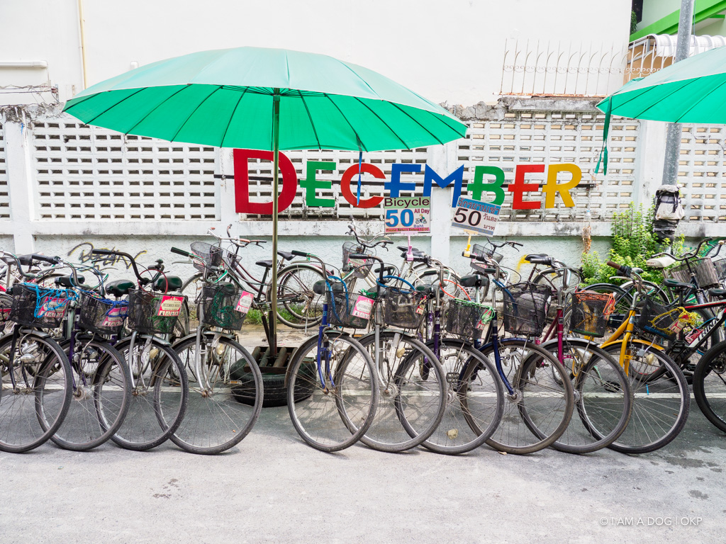 f:id:OKP:20191106112211j:plain