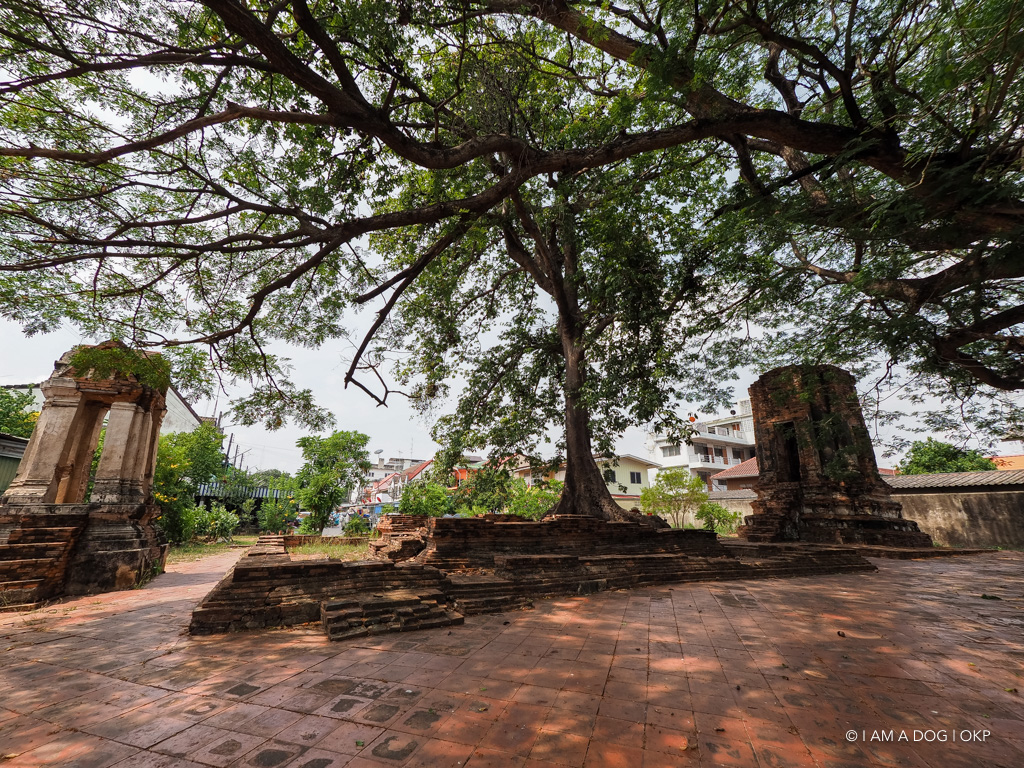 f:id:OKP:20191106112226j:plain