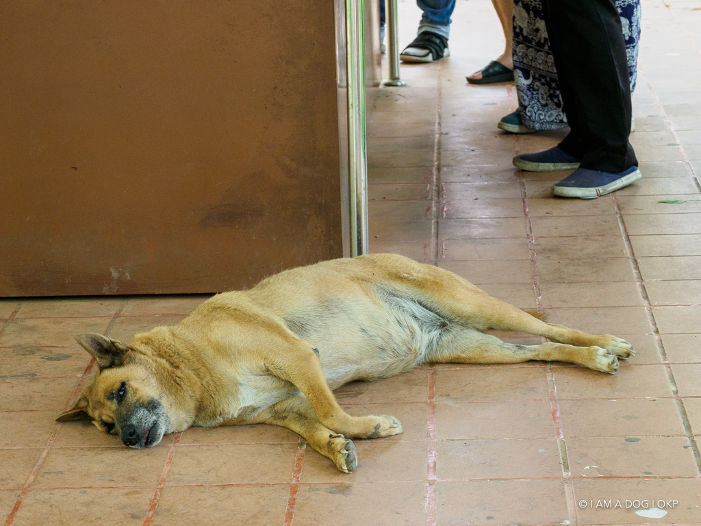 f:id:OKP:20191106112248j:plain