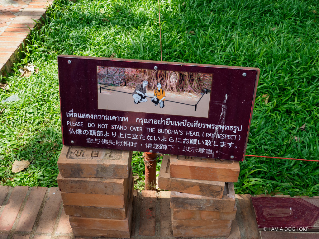 f:id:OKP:20191106112322j:plain