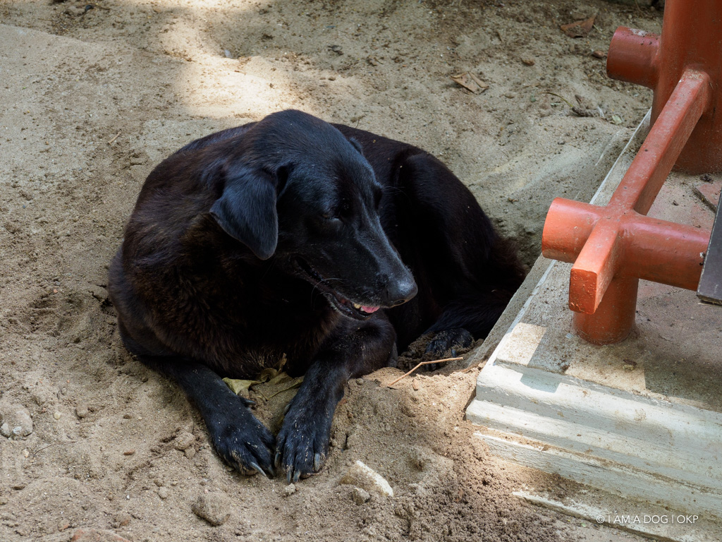 f:id:OKP:20191106112436j:plain