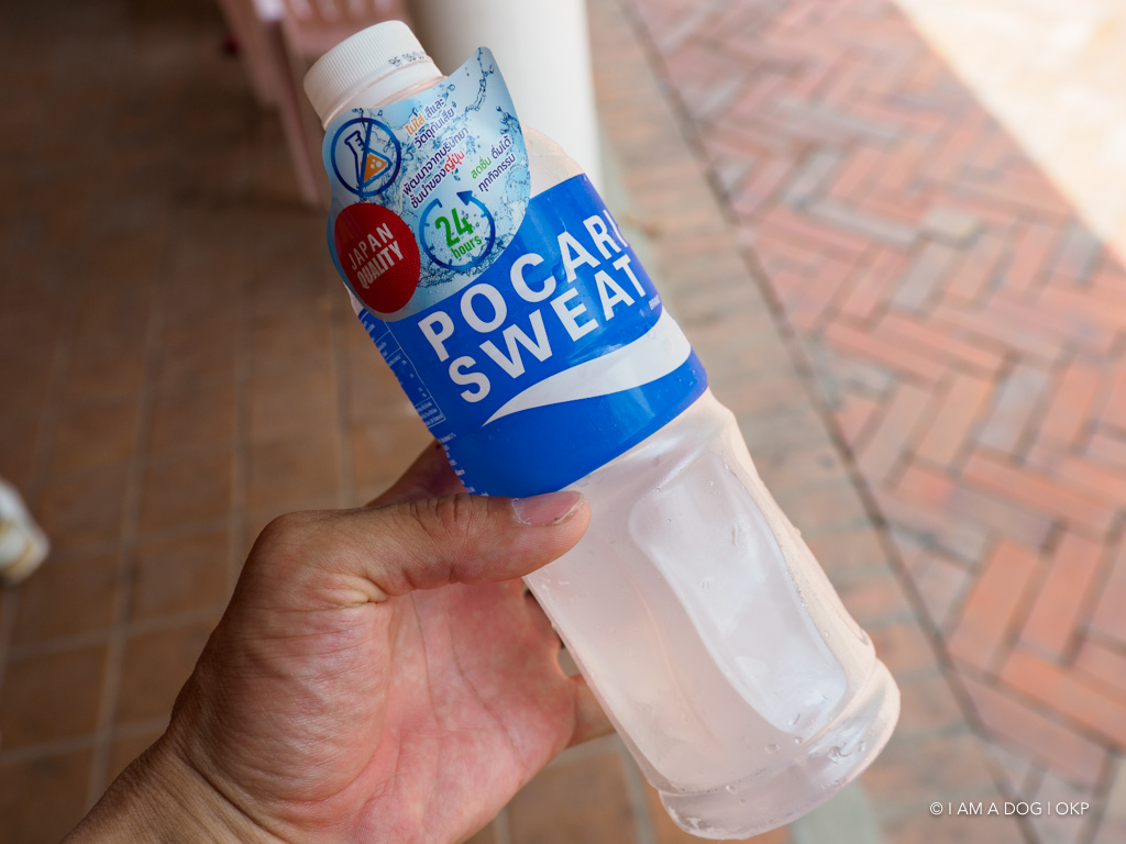 f:id:OKP:20191106112441j:plain