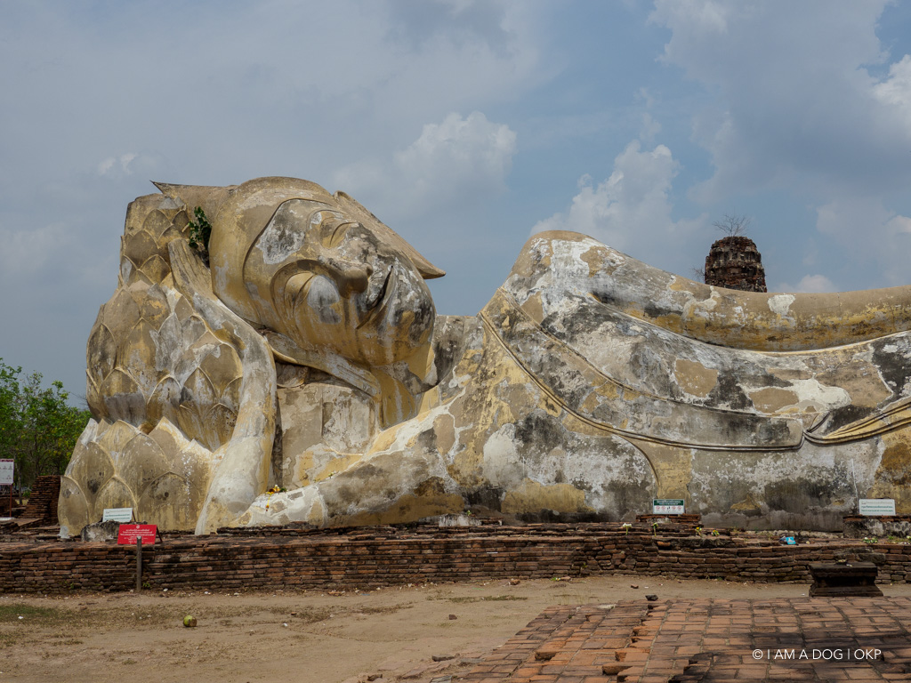 f:id:OKP:20191106112702j:plain